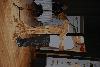 dsc_0143_t1.jpg