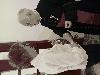 20260622_133152_t1.jpg